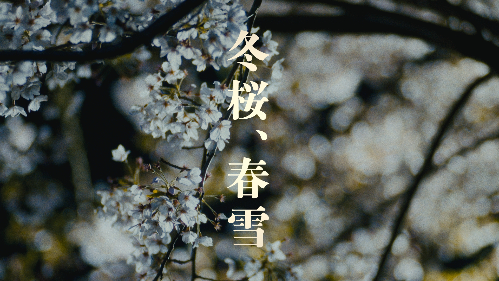 冬桜、春雪 キービジュアル